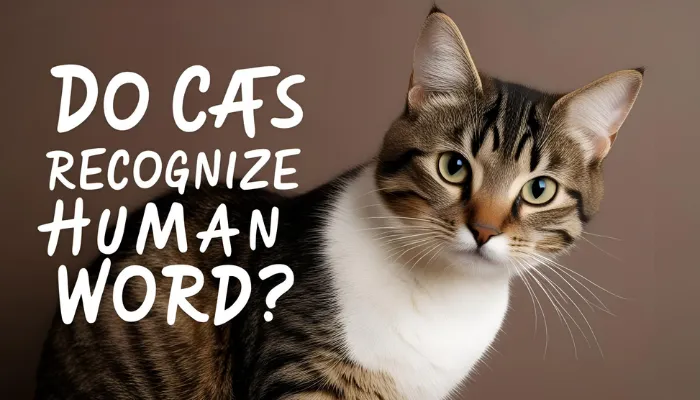 Do Cats Recognize Human Words? Do Cats Recognize Human Words?